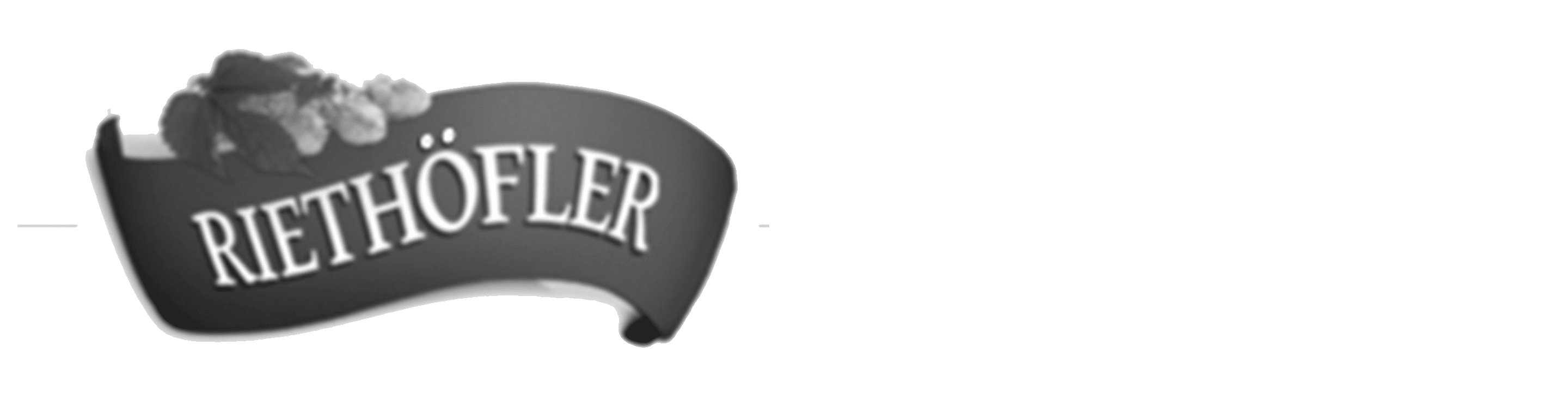 Riethöflerschriftzug Logo 2
