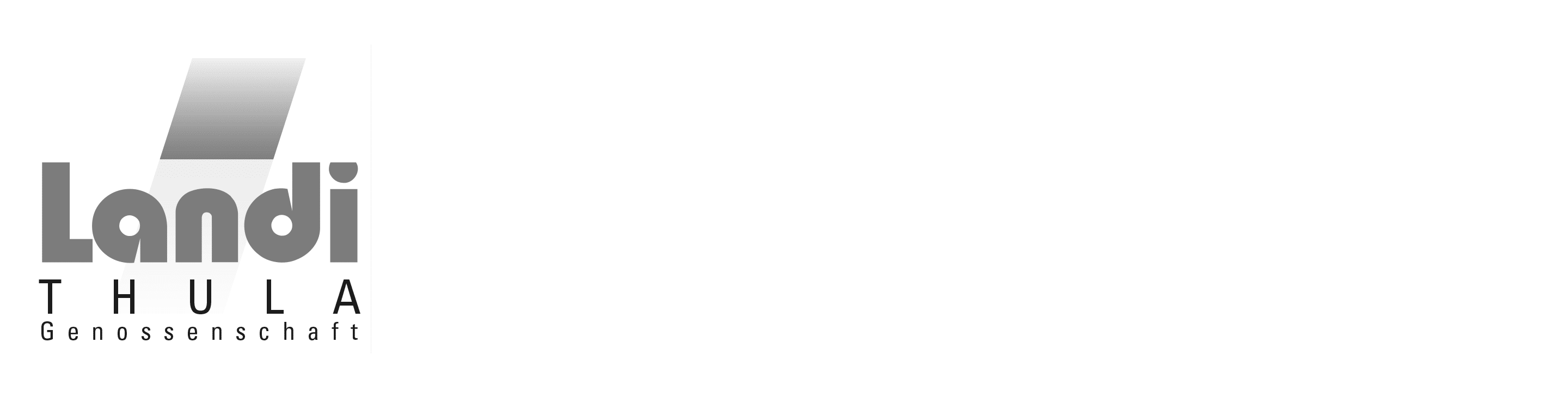 Logo Landi